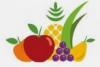 INNAP-nutricionista