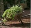Riegos y Jardines-diseo y mantenimiento de espacios verdes