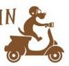 Foto de Petshop-online Delivery para mascotas-alimento y accesorios para