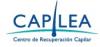 Foto de Capilea-recuperaci�n capilar