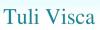 Tuli Visca-cursos para armado de bijouterie fina