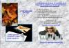 MT Virtual Assistant