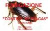 Fumigazione