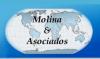 Molina y Asociados