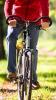 Foto de Bicicleteria  Green Line