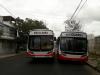 Veiga Buses.